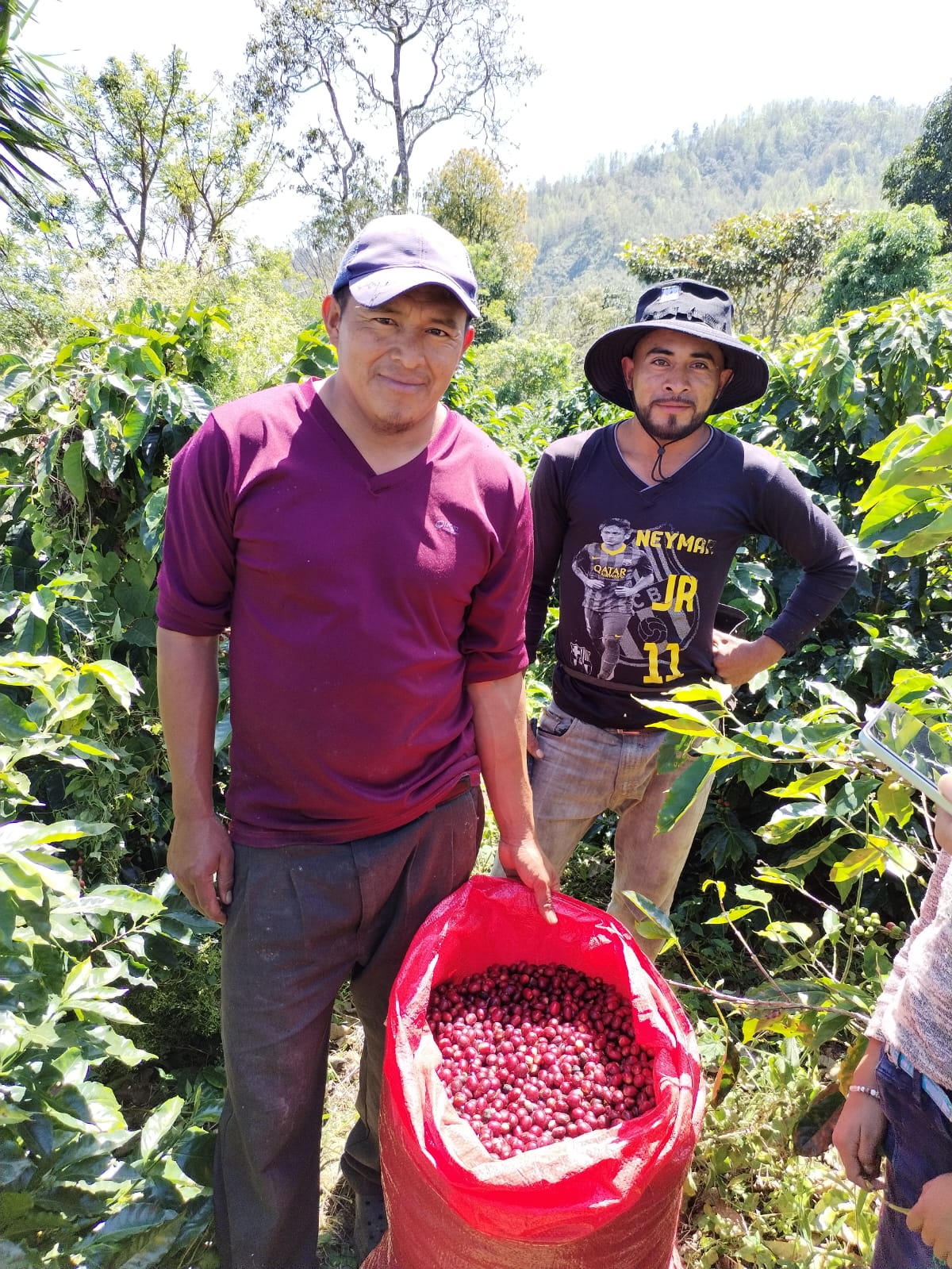 Efrain Marquez - Honduras - Washed