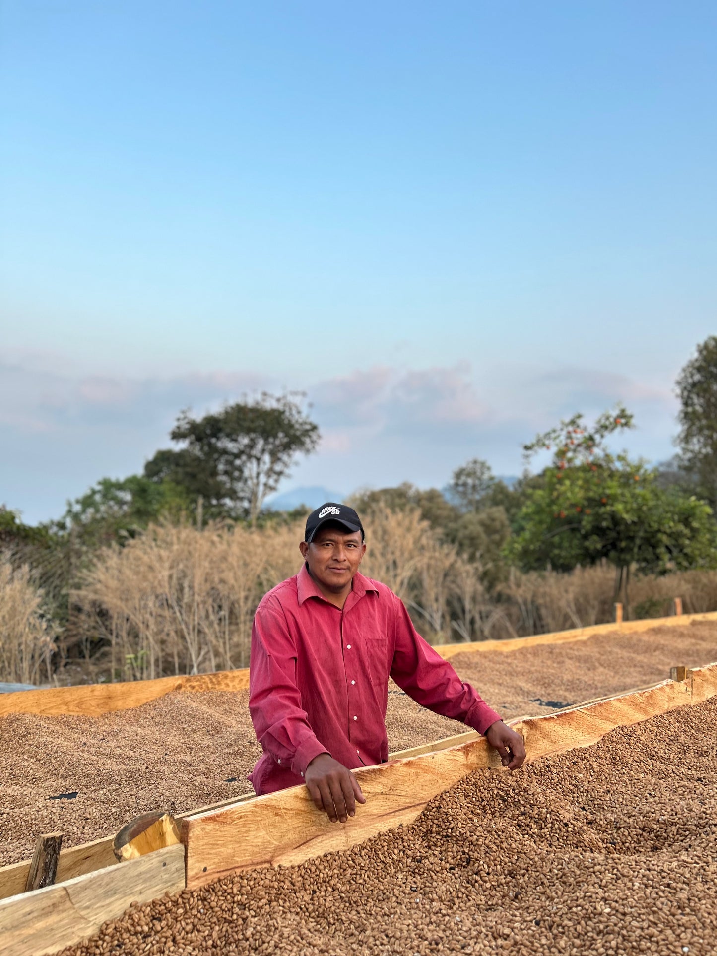 Efrain Marquez - Honduras - Washed