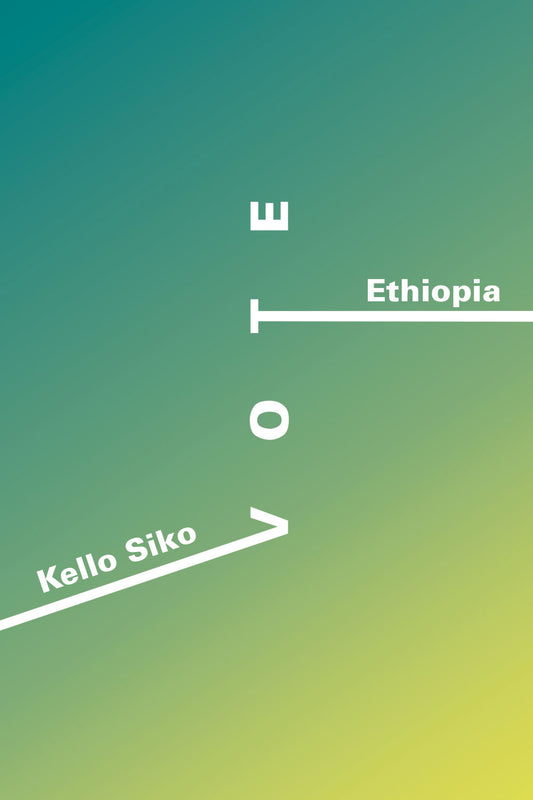 Kelloo Siko #1 - Ethiopia - Washed