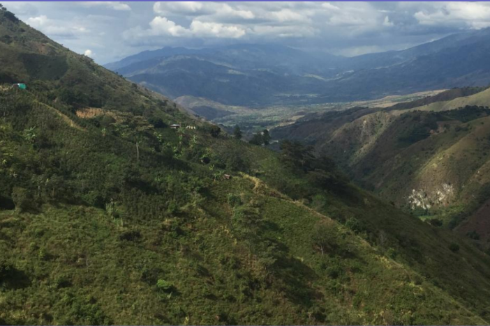Huila Norte - Colombia - Washed