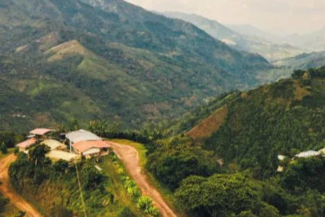 Community Lot Planadas - Colombia - Natural