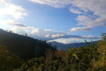 Mayra Solis - Costa Rica - Natural