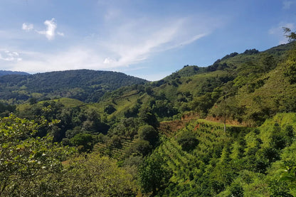 Mayra Solis - Costa Rica - Natural