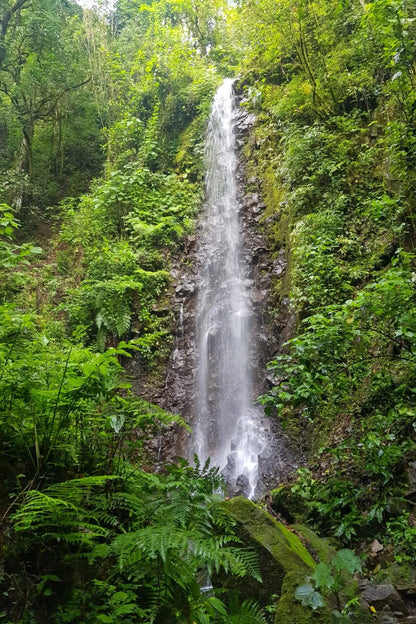 Mayra Solis - Costa Rica - Natural