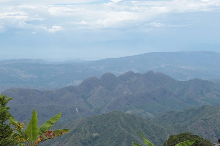 Huila Norte - Colombia - Washed