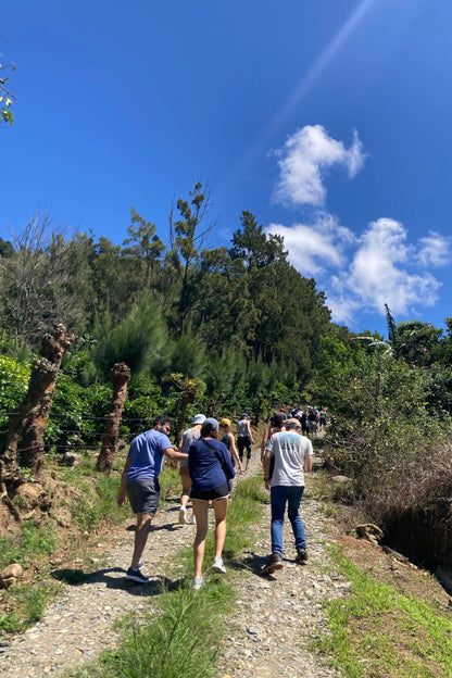 Tatiana Vargas - Costa Rica - Honey