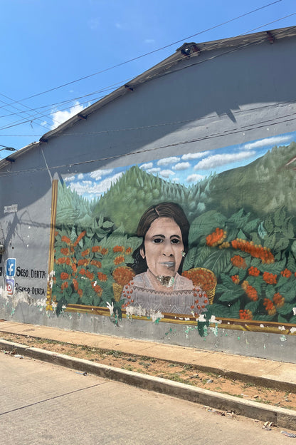 Vayichil Decaf - Mexico - Washed, Mountain Water Decaf Processed