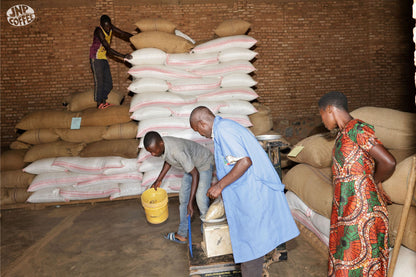 Matongo - Burundi - Washed