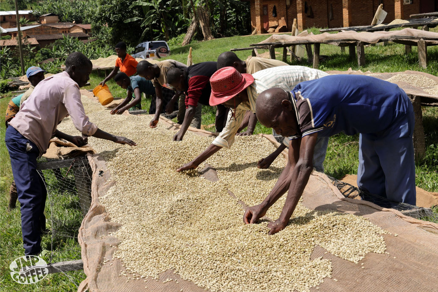 Matongo - Burundi - Washed