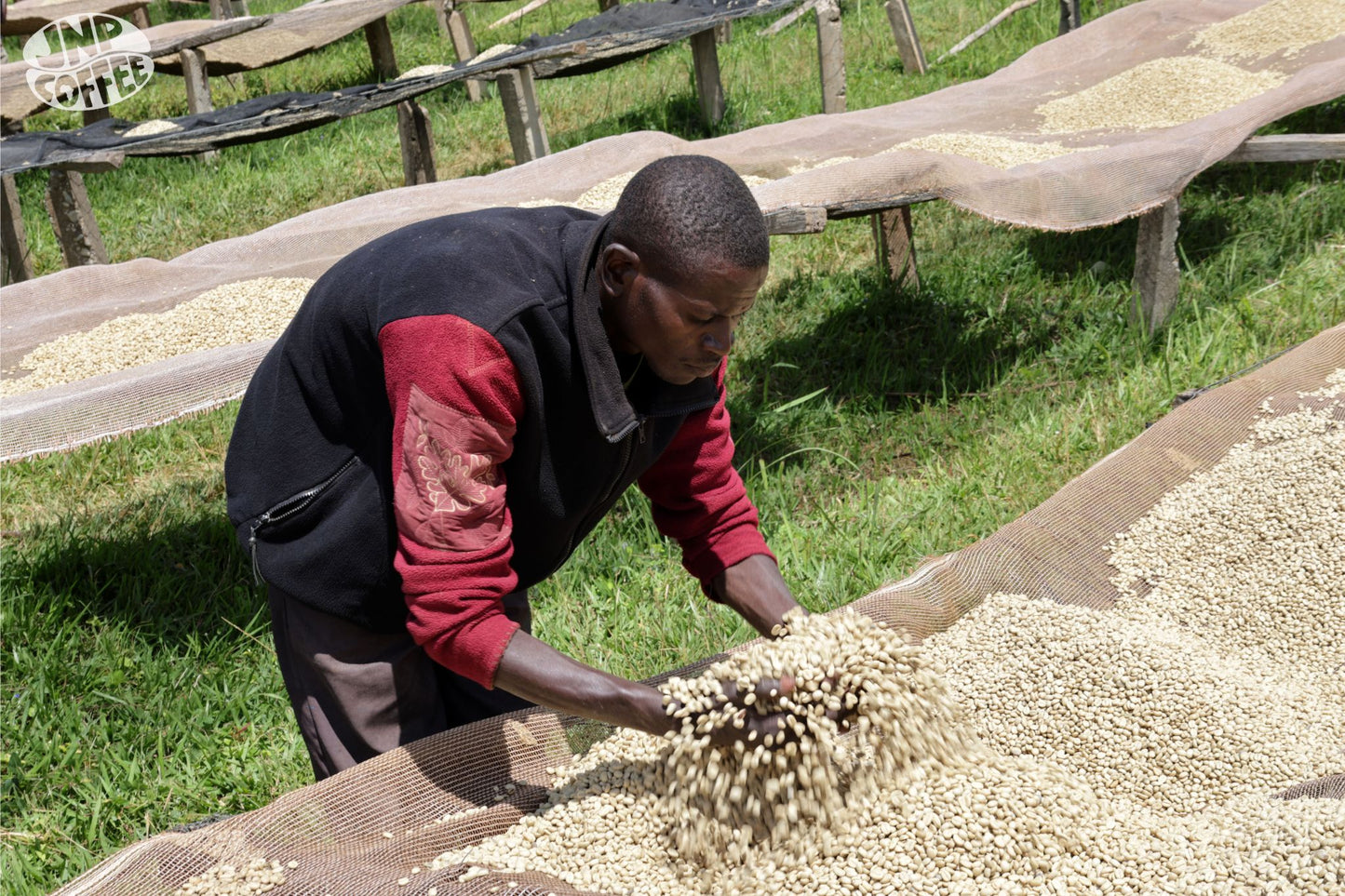 Matongo - Burundi - Washed