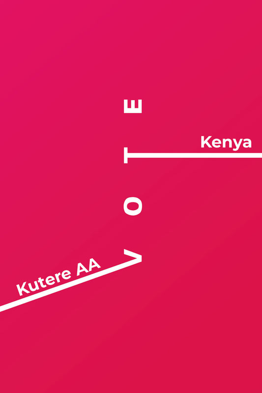 Kutere AA - Kenya - Washed