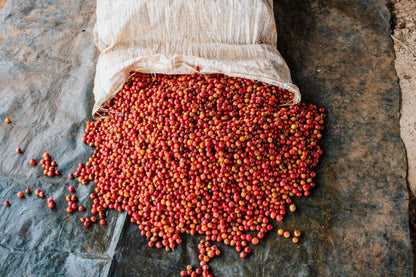 Kiandu AB - Kenya - Washed