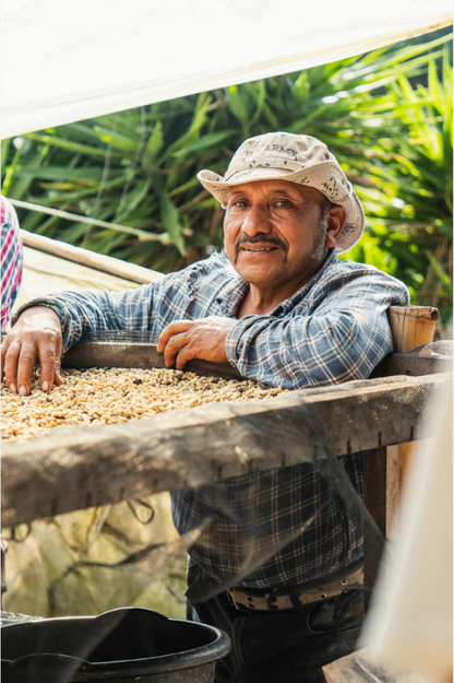 Santos Saturnino Lima - Guatemala - Washed