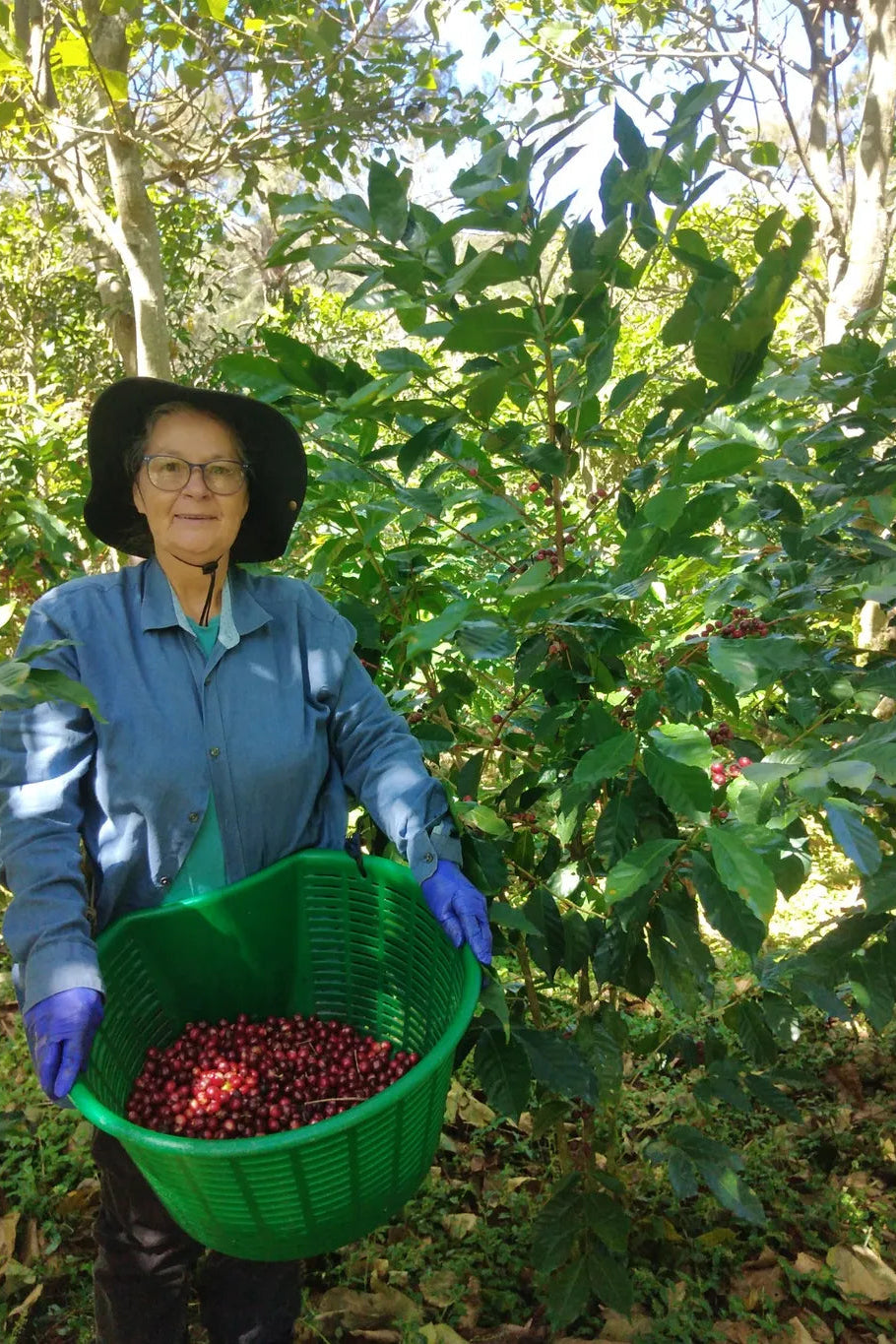Tatiana Vargas - Costa Rica - Honey