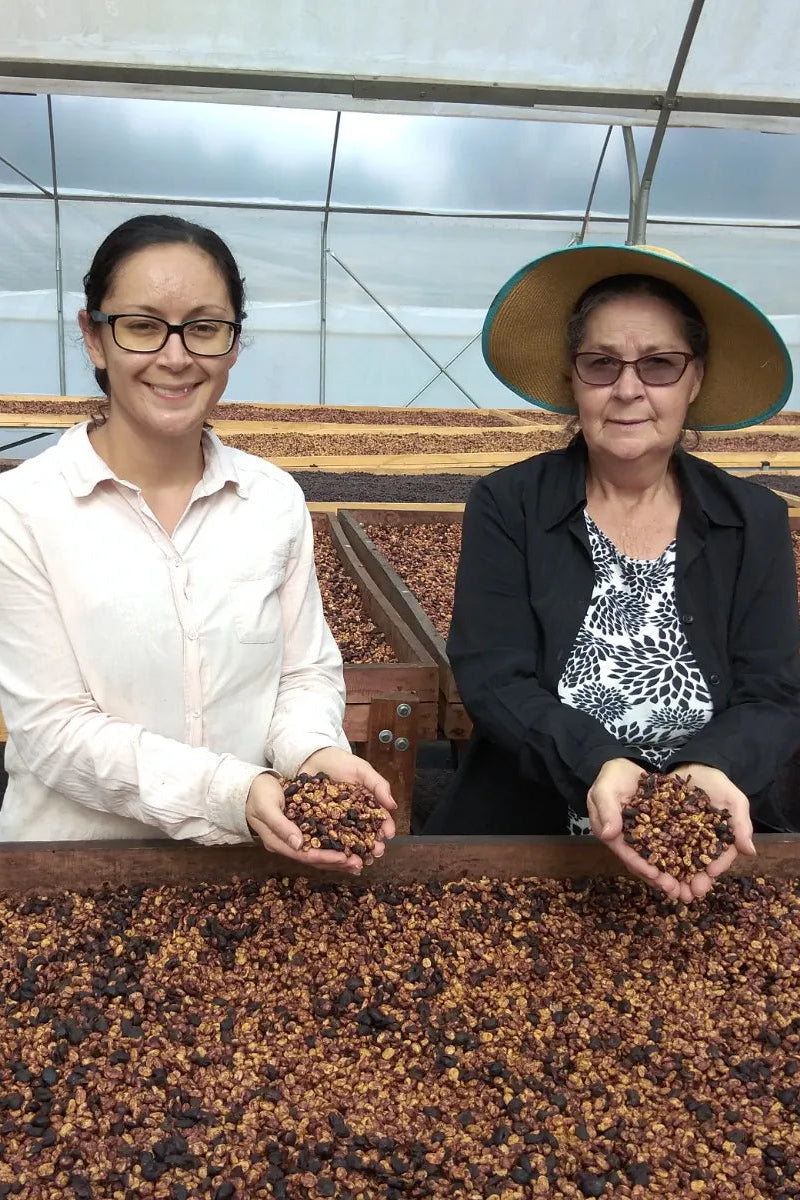 Tatiana Vargas - Costa Rica - Honey