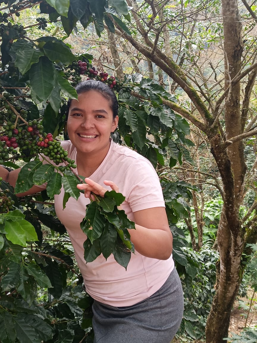 Yensi Sanchez - Honduras - Washed