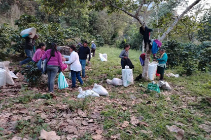 Cortés Posadas Family - Mexico - Honey