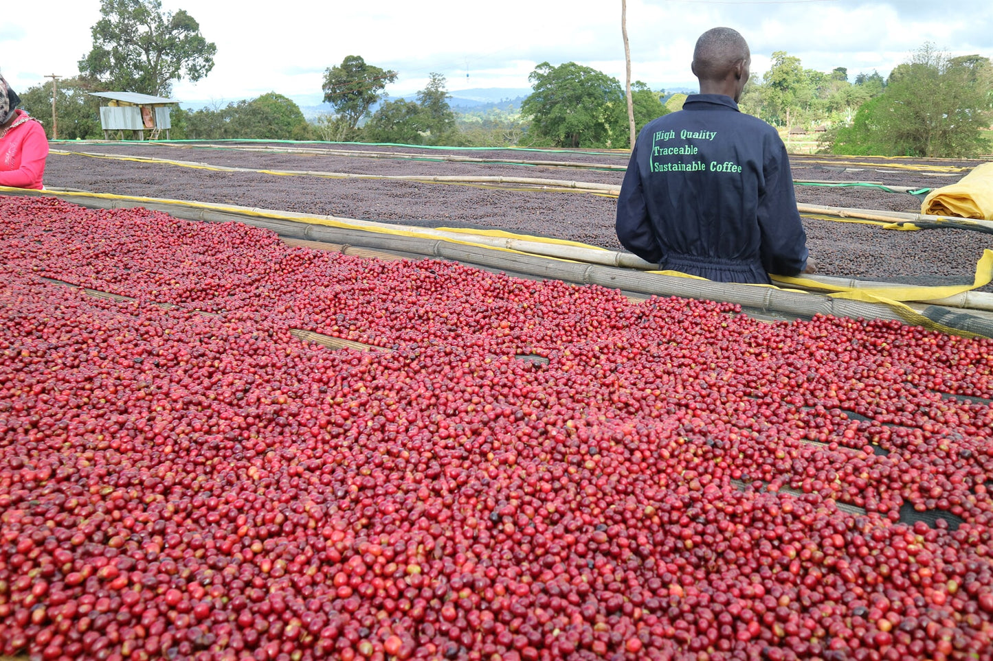 Koromii - Ethiopia - Natural