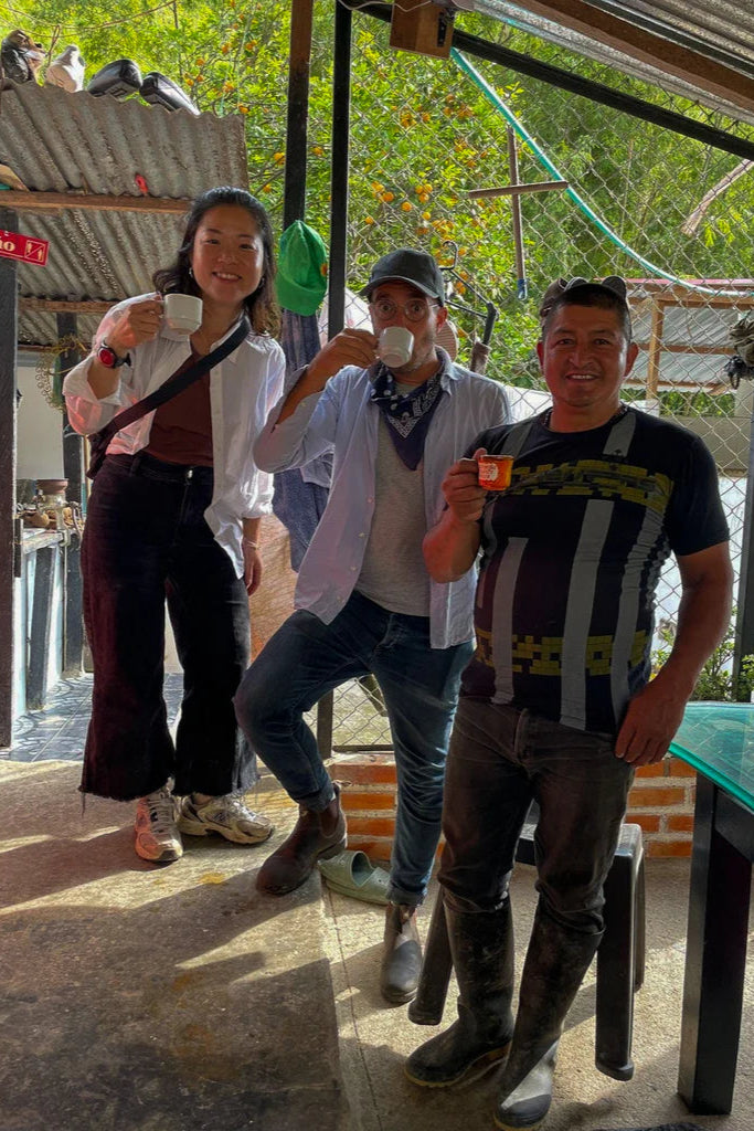Jojoa - Colombia - Washed